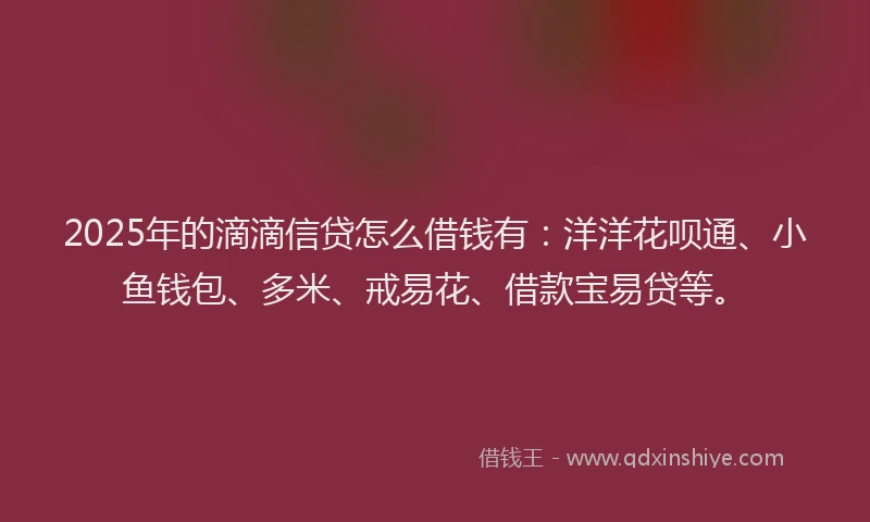 2025年的滴滴信贷怎么借钱有：洋洋花呗通、小鱼钱包、多米、戒易花、借款宝易贷等。