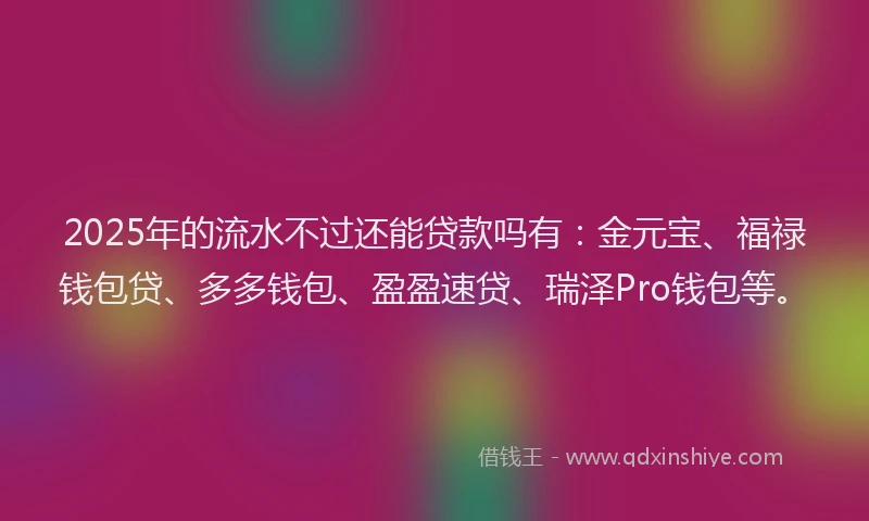2025年的流水不过还能贷款吗有：金元宝、福禄钱包贷、多多钱包、盈盈速贷、瑞泽Pro钱包等。