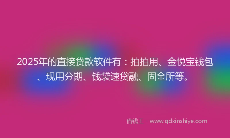 2025年的直接贷款软件有：拍拍用、金悦宝钱包、现用分期、钱袋速贷融、固金所等。
