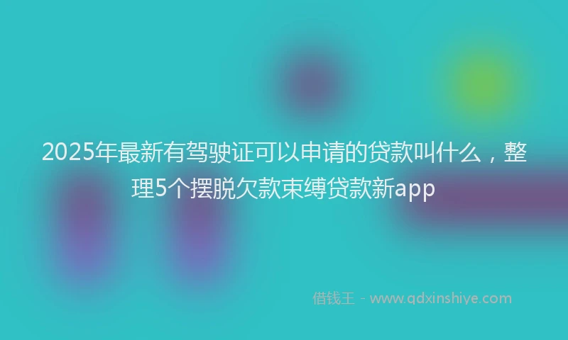 2025年最新有驾驶证可以申请的贷款叫什么，整理5个摆脱欠款束缚贷款新app