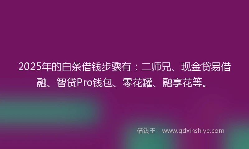 2025年的白条借钱步骤有：二师兄、现金贷易借融、智贷Pro钱包、零花罐、融享花等。