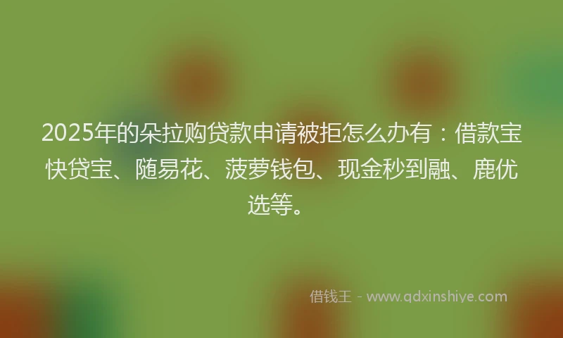 2025年的朵拉购贷款申请被拒怎么办有：借款宝快贷宝、随易花、菠萝钱包、现金秒到融、鹿优选等。