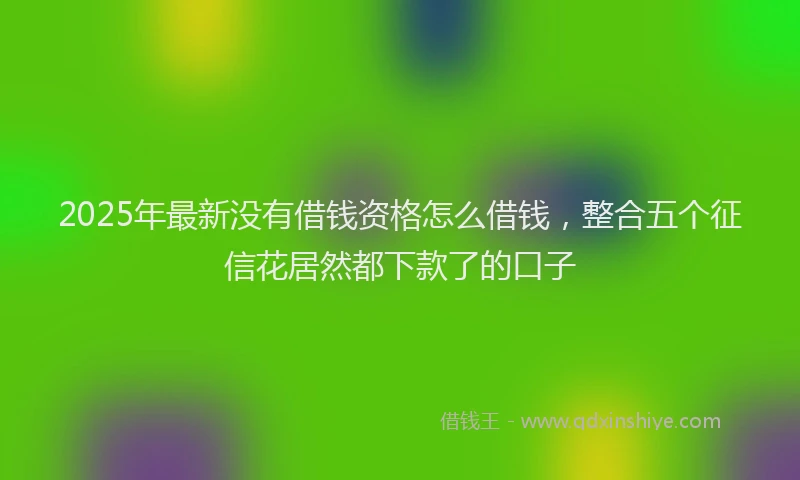 2025年最新没有借钱资格怎么借钱，整合五个征信花居然都下款了的口子