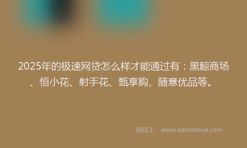 2025年的极速网贷怎么样才能通过有：黑鲸商场、恒小花、射手花、甄享购、随意优品等。