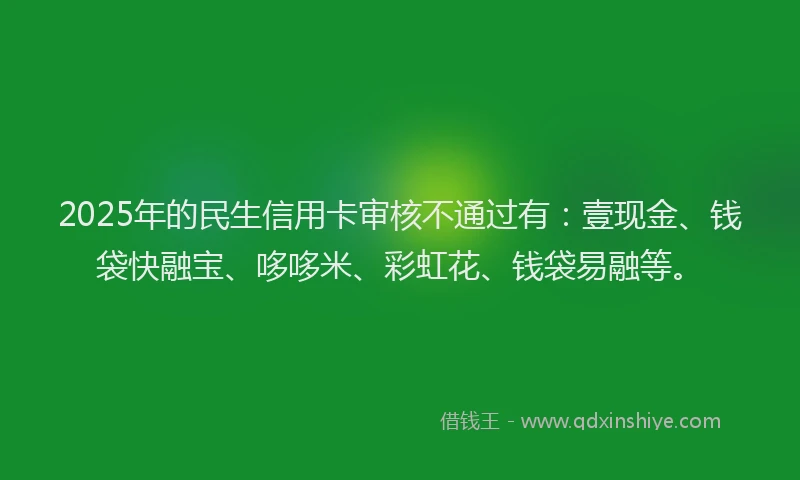 2025年的民生信用卡审核不通过有：壹现金、钱袋快融宝、哆哆米、彩虹花、钱袋易融等。