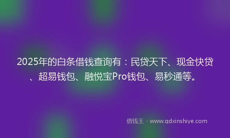 2025年的白条借钱查询有：民贷天下、现金快贷、超易钱包、融悦宝Pro钱包、易秒通等。