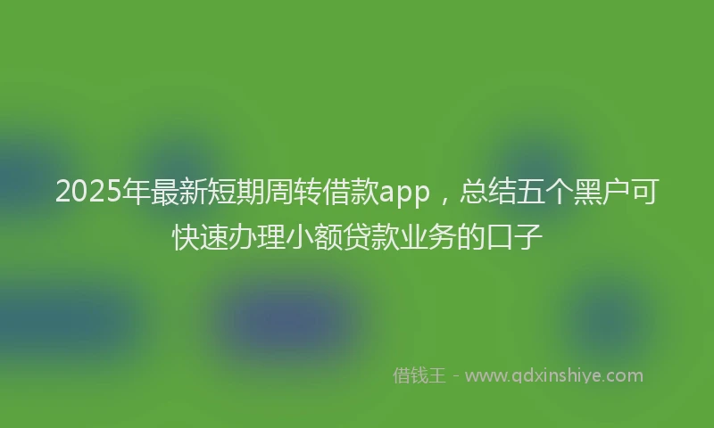 2025年最新短期周转借款app，总结五个黑户可快速办理小额贷款业务的口子