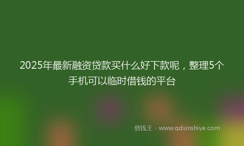 2025年最新融资贷款买什么好下款呢，整理5个手机可以临时借钱的平台