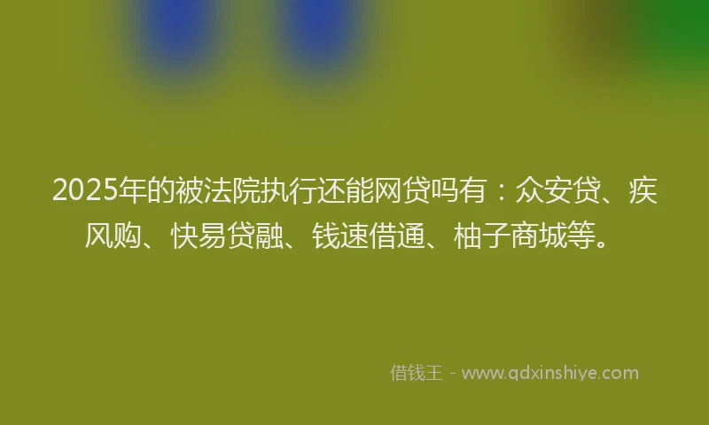 2025年的被法院执行还能网贷吗有：众安贷、疾风购、快易贷融、钱速借通、柚子商城等。