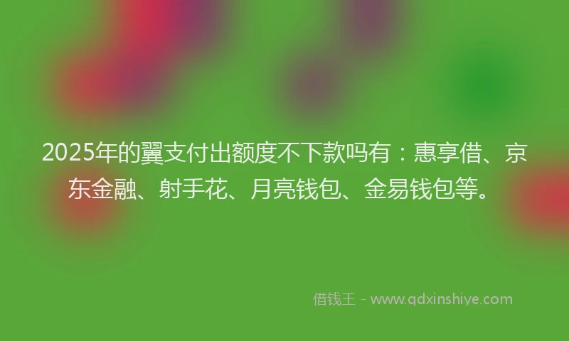 2025年的翼支付出额度不下款吗有：惠享借、京东金融、射手花、月亮钱包、金易钱包等。