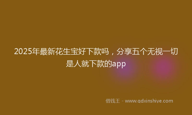 2025年最新花生宝好下款吗，分享五个无视一切是人就下款的app