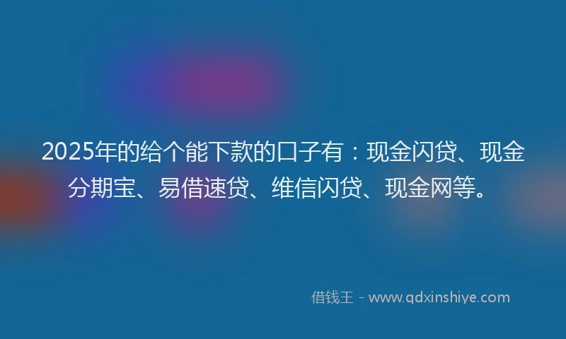 2025年的给个能下款的口子有：现金闪贷、现金分期宝、易借速贷、维信闪贷、现金网等。