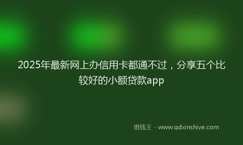 2025年最新网上办信用卡都通不过，分享五个比较好的小额贷款app