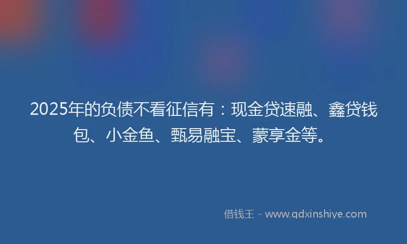 2025年的负债不看征信有：现金贷速融、鑫贷钱包、小金鱼、甄易融宝、蒙享金等。