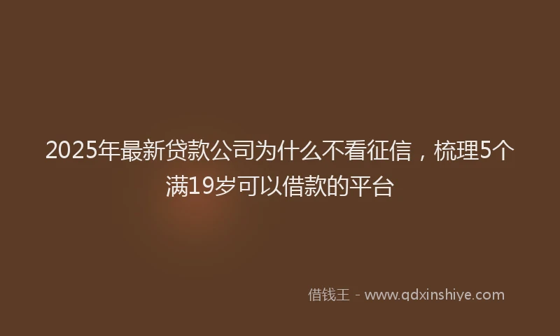 2025年最新贷款公司为什么不看征信，梳理5个满19岁可以借款的平台