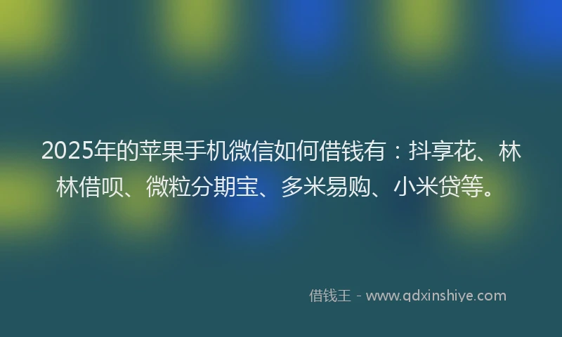 2025年的苹果手机微信如何借钱有：抖享花、林林借呗、微粒分期宝、多米易购、小米贷等。
