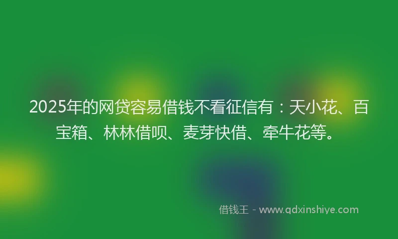2025年的网贷容易借钱不看征信有：天小花、百宝箱、林林借呗、麦芽快借、牵牛花等。