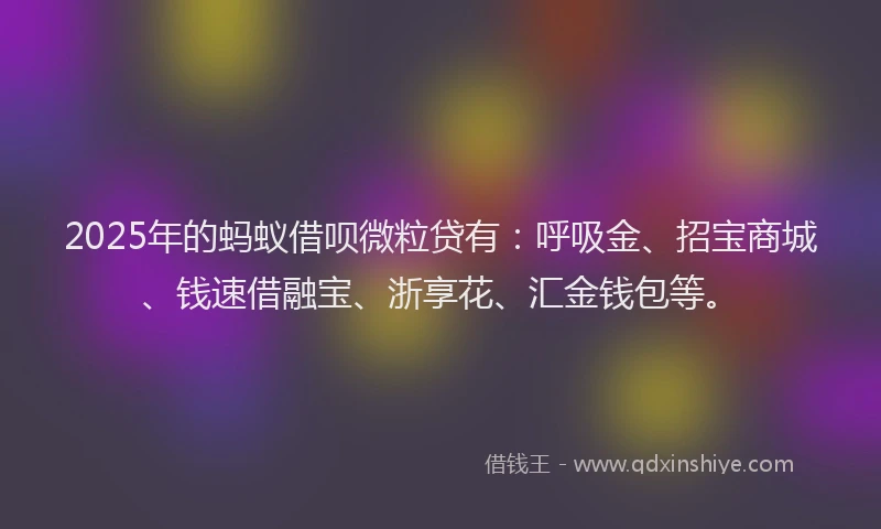 2025年的蚂蚁借呗微粒贷有：呼吸金、招宝商城、钱速借融宝、浙享花、汇金钱包等。