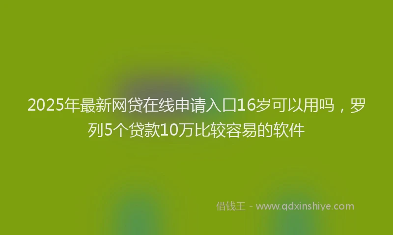 2025年最新网贷在线申请入口16岁可以用吗，罗列5个贷款10万比较容易的软件