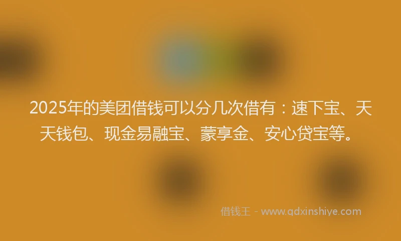 2025年的美团借钱可以分几次借有：速下宝、天天钱包、现金易融宝、蒙享金、安心贷宝等。