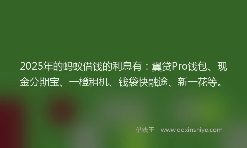 2025年的蚂蚁借钱的利息有：翼贷Pro钱包、现金分期宝、一橙租机、钱袋快融途、新一花等。