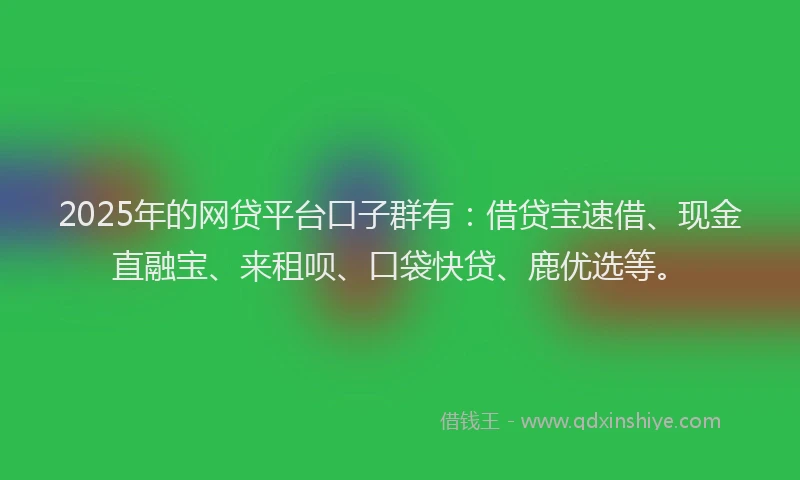 2025年的网贷平台口子群有：借贷宝速借、现金直融宝、来租呗、口袋快贷、鹿优选等。