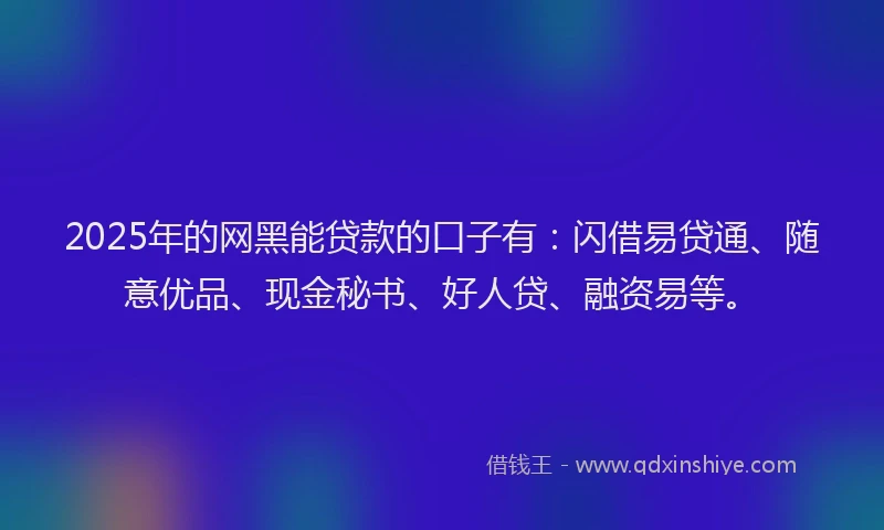2025年的网黑能贷款的口子有：闪借易贷通、随意优品、现金秘书、好人贷、融资易等。