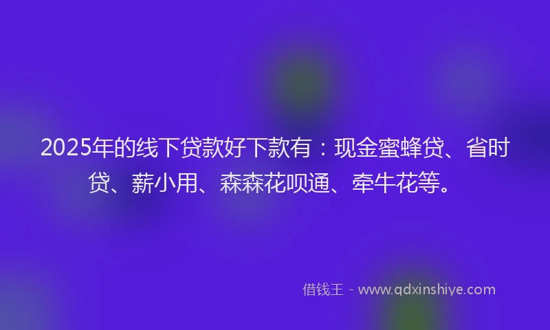 2025年的线下贷款好下款有：现金蜜蜂贷、省时贷、薪小用、森森花呗通、牵牛花等。