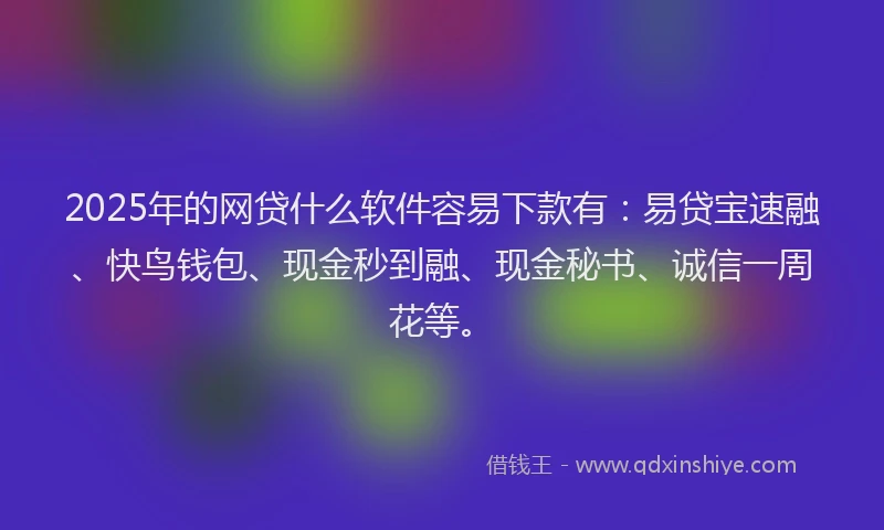 2025年的网贷什么软件容易下款有：易贷宝速融、快鸟钱包、现金秒到融、现金秘书、诚信一周花等。