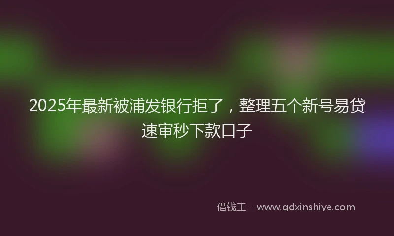 2025年最新被浦发银行拒了，整理五个新号易贷速审秒下款口子