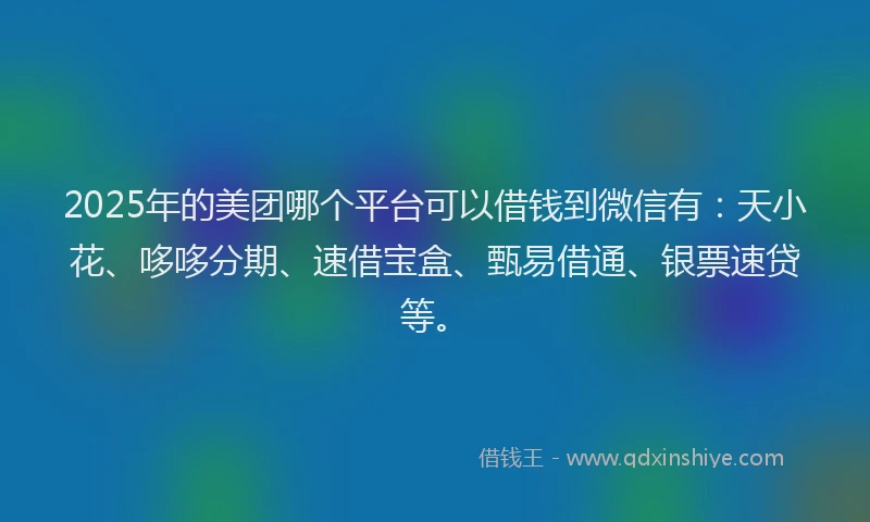 2025年的美团哪个平台可以借钱到微信有：天小花、哆哆分期、速借宝盒、甄易借通、银票速贷等。