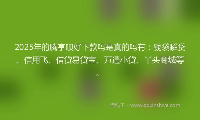 2025年的腾享呗好下款吗是真的吗有：钱袋瞬贷、信用飞、借贷易贷宝、万通小贷、丫头商城等。
