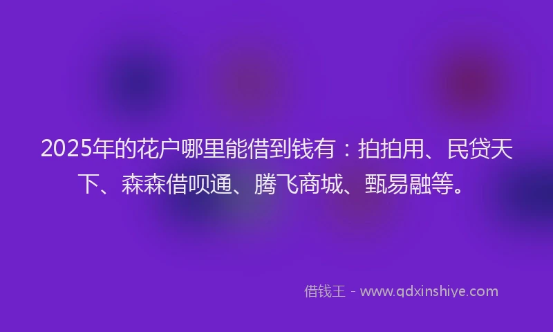 2025年的花户哪里能借到钱有：拍拍用、民贷天下、森森借呗通、腾飞商城、甄易融等。