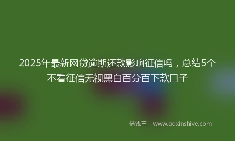 2025年最新网贷逾期还款影响征信吗，总结5个不看征信无视黑白百分百下款口子