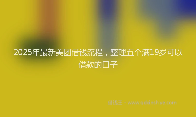 2025年最新美团借钱流程，整理五个满19岁可以借款的口子