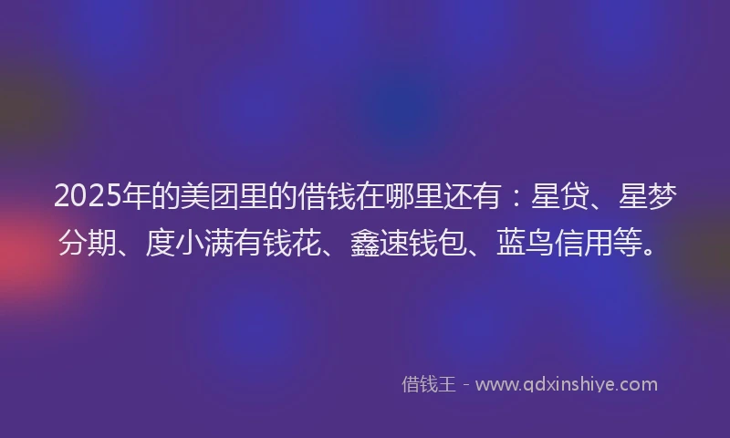 2025年的美团里的借钱在哪里还有：星贷、星梦分期、度小满有钱花、鑫速钱包、蓝鸟信用等。