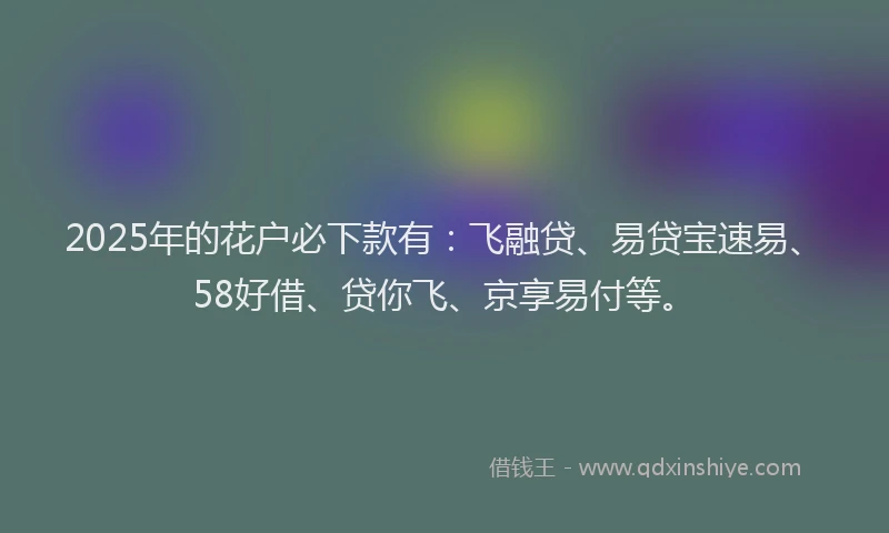 2025年的花户必下款有：飞融贷、易贷宝速易、58好借、贷你飞、京享易付等。