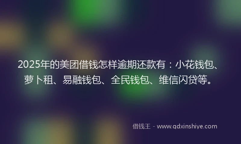 2025年的美团借钱怎样逾期还款有：小花钱包、萝卜租、易融钱包、全民钱包、维信闪贷等。
