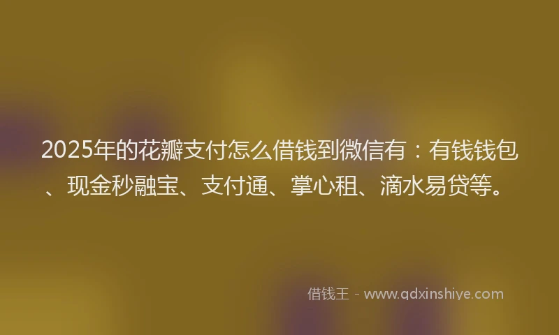 2025年的花瓣支付怎么借钱到微信有：有钱钱包、现金秒融宝、支付通、掌心租、滴水易贷等。