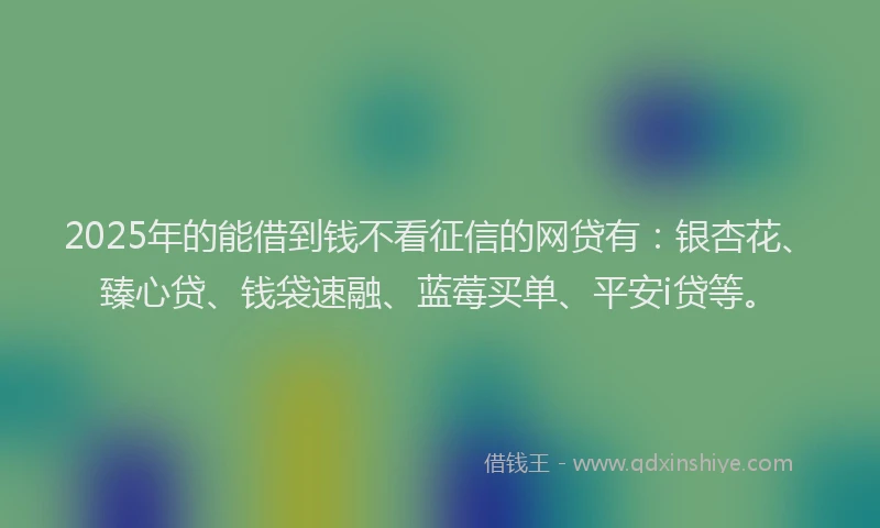 2025年的能借到钱不看征信的网贷有：银杏花、臻心贷、钱袋速融、蓝莓买单、平安i贷等。