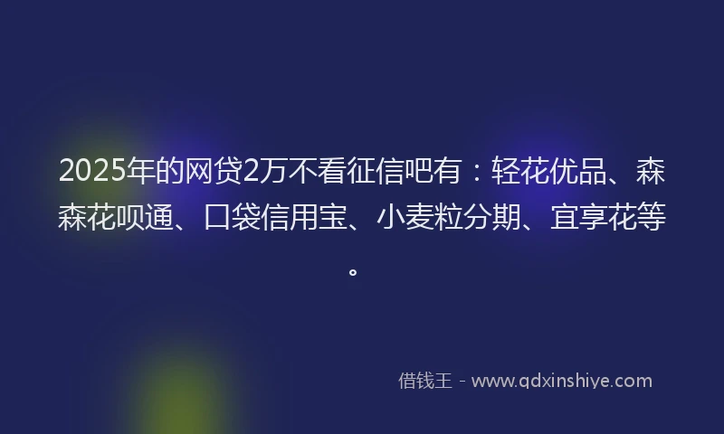 2025年的网贷2万不看征信吧有：轻花优品、森森花呗通、口袋信用宝、小麦粒分期、宜享花等。