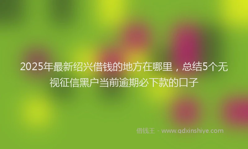 2025年最新绍兴借钱的地方在哪里，总结5个无视征信黑户当前逾期必下款的口子