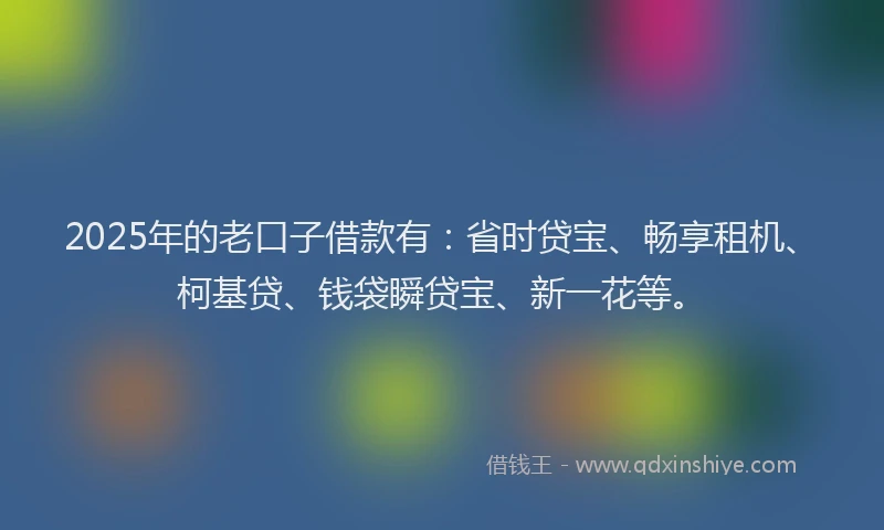2025年的老口子借款有：省时贷宝、畅享租机、柯基贷、钱袋瞬贷宝、新一花等。