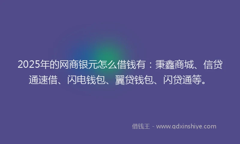 2025年的网商银元怎么借钱有：秉鑫商城、信贷通速借、闪电钱包、翼贷钱包、闪贷通等。