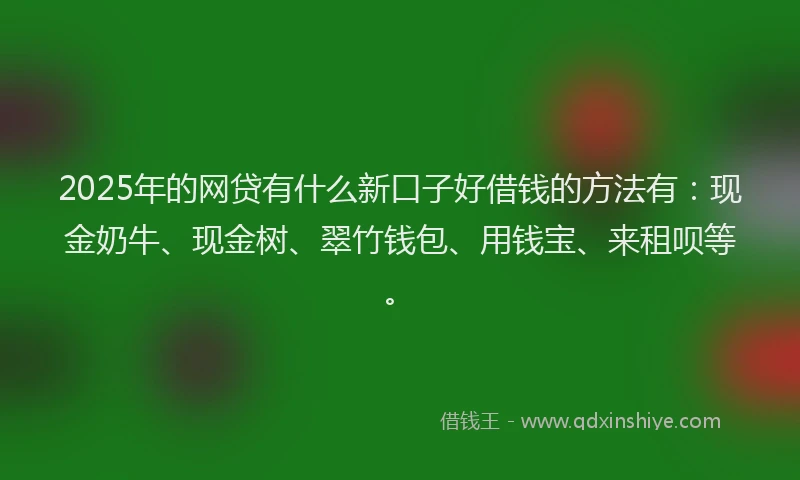 2025年的网贷有什么新口子好借钱的方法有：现金奶牛、现金树、翠竹钱包、用钱宝、来租呗等。