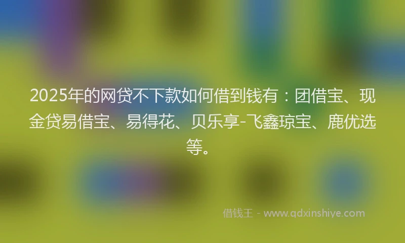 2025年的网贷不下款如何借到钱有：团借宝、现金贷易借宝、易得花、贝乐享-飞鑫琼宝、鹿优选等。