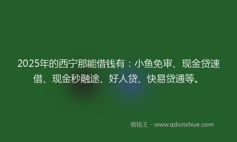 2025年的西宁那能借钱有：小鱼免审、现金贷速借、现金秒融途、好人贷、快易贷通等。