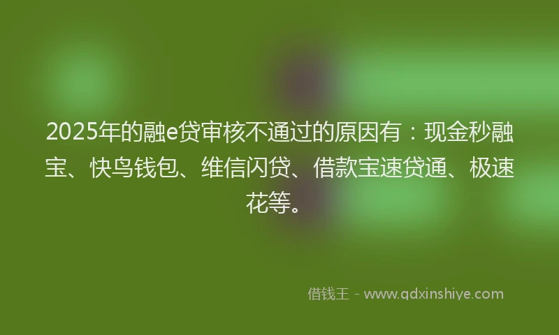 2025年的融e贷审核不通过的原因有：现金秒融宝、快鸟钱包、维信闪贷、借款宝速贷通、极速花等。