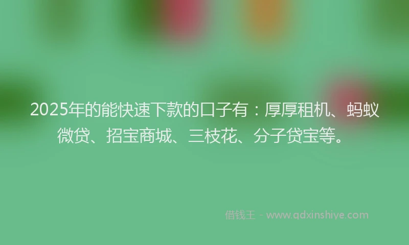 2025年的能快速下款的口子有：厚厚租机、蚂蚁微贷、招宝商城、三枝花、分子贷宝等。