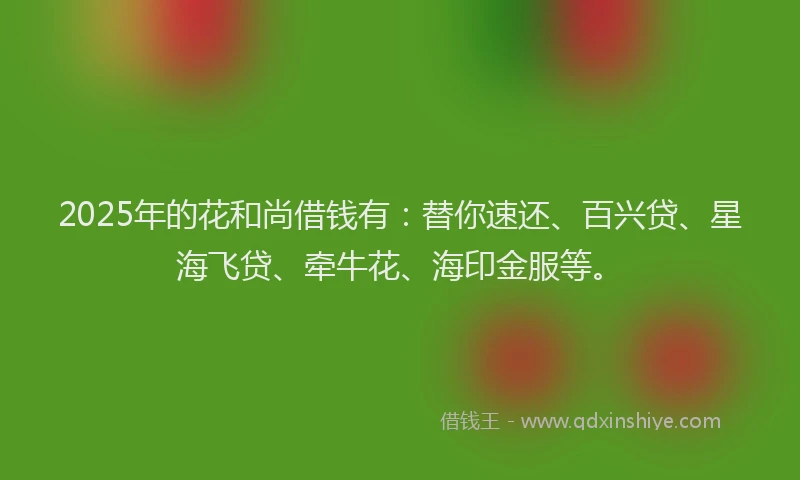 2025年的花和尚借钱有：替你速还、百兴贷、星海飞贷、牵牛花、海印金服等。
